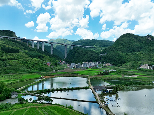 天野湖淡水種苗繁殖基地